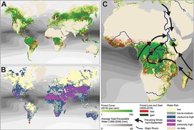 Managing Forests for Both Downstream and Downwind Water
